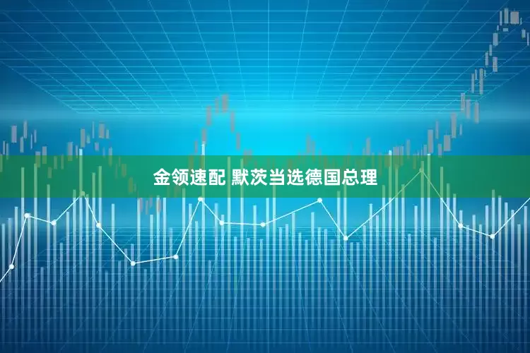 金领速配 默茨当选德国总理