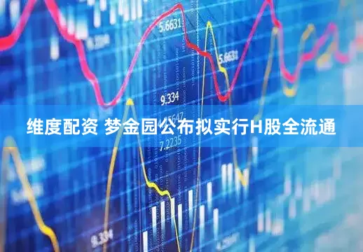 维度配资 梦金园公布拟实行H股全流通