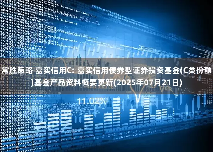 常胜策略 嘉实信用C: 嘉实信用债券型证券投资基金(C类份额)基金产品资料概要更新(2025年07月21日)