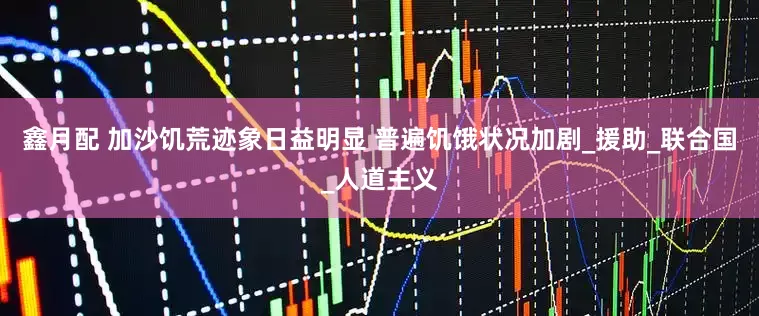 鑫月配 加沙饥荒迹象日益明显 普遍饥饿状况加剧_援助_联合国_人道主义