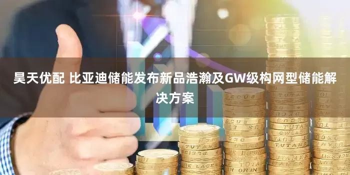 昊天优配 比亚迪储能发布新品浩瀚及GW级构网型储能解决方案